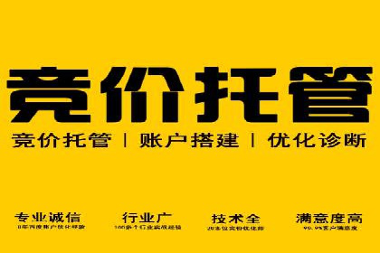 百度信息流广告投放技巧：实战案例解析